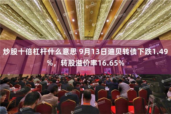 炒股十倍杠杆什么意思 9月13日迪贝转债下跌1.49%，转股溢价率16.65%