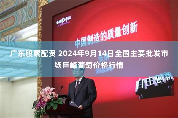 广东股票配资 2024年9月14日全国主要批发市场巨峰葡萄价格行情