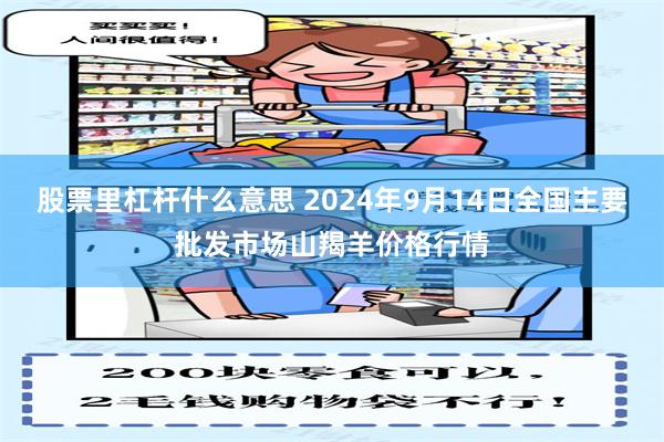 股票里杠杆什么意思 2024年9月14日全国主要批发市场山羯羊价格行情