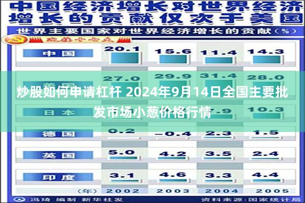 炒股如何申请杠杆 2024年9月14日全国主要批发市场小葱价格行情