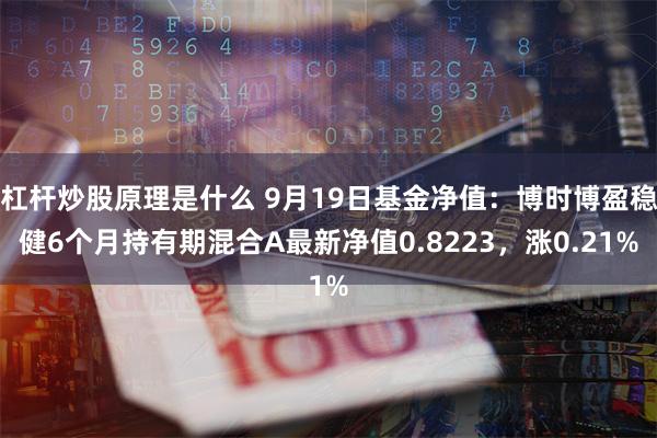 杠杆炒股原理是什么 9月19日基金净值：博时博盈稳健6个月持有期混合A最新净值0.8223，涨0.21%