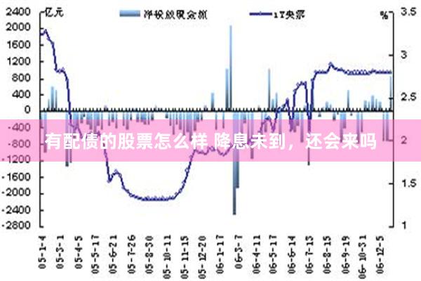 有配债的股票怎么样 降息未到，还会来吗