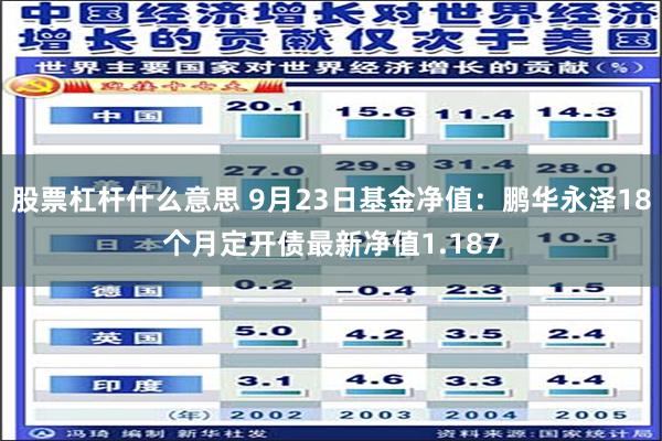 股票杠杆什么意思 9月23日基金净值：鹏华永泽18个月定开债最新净值1.187