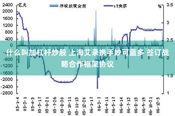 什么叫加杠杆炒股 上海艾录携手妙可蓝多 签订战略合作框架协议