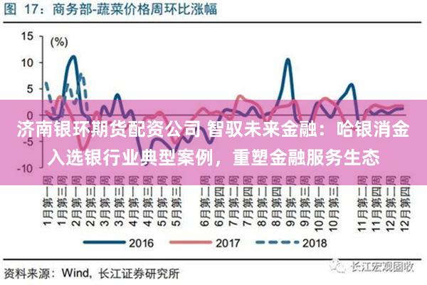 济南银环期货配资公司 智驭未来金融：哈银消金入选银行业典型案例，重塑金融服务生态