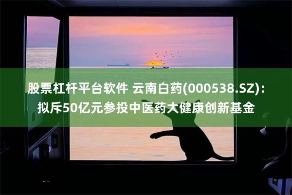 股票杠杆平台软件 云南白药(000538.SZ)：拟斥50亿元参投中医药大健康创新基金