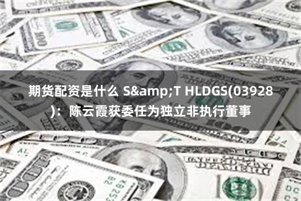 期货配资是什么 S&T HLDGS(03928)：陈云霞获委任为独立非执行董事