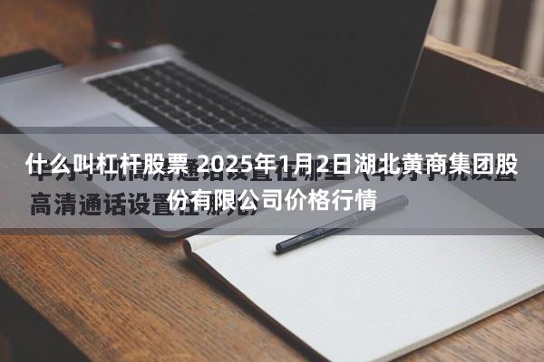 什么叫杠杆股票 2025年1月2日湖北黄商集团股份有限公司价格行情