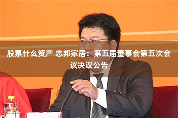 股票什么资产 志邦家居：第五届董事会第五次会议决议公告