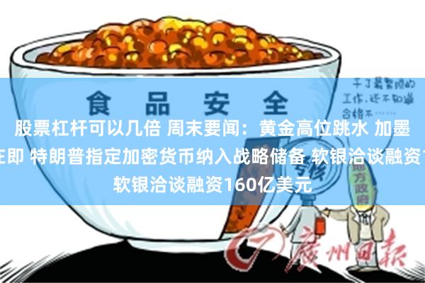 股票杠杆可以几倍 周末要闻：黄金高位跳水 加墨关税加征在即 特朗普指定加密货币纳入战略储备 软银洽谈融资160亿美元