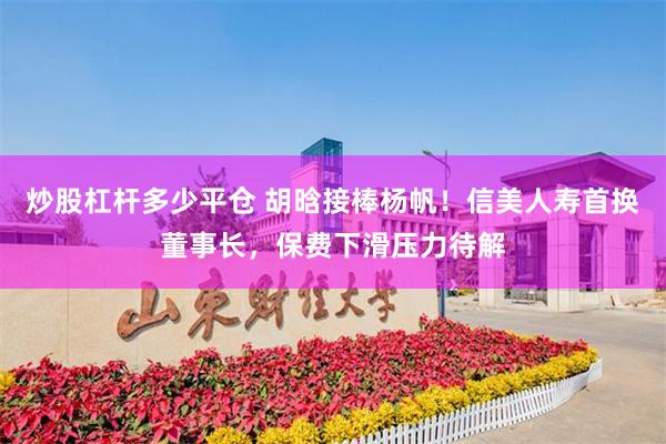 炒股杠杆多少平仓 胡晗接棒杨帆！信美人寿首换董事长，保费下滑压力待解