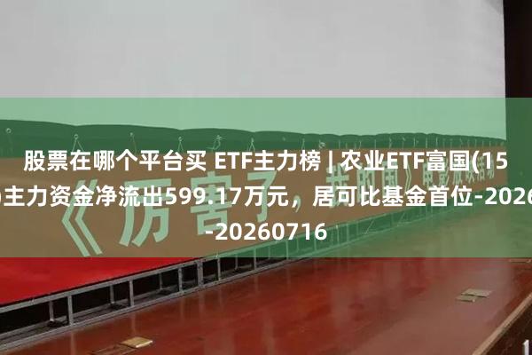 股票在哪个平台买 ETF主力榜 | 农业ETF富国(159825)主力资金净流出599.17万元，居可比基金首位-20260716