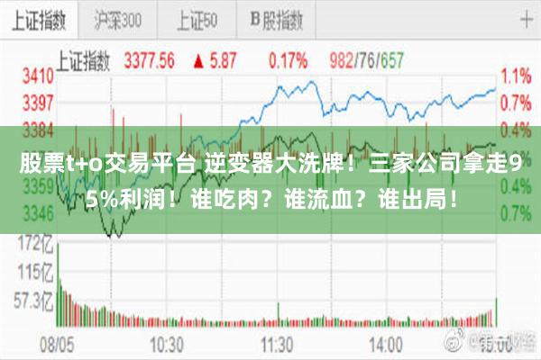 股票t+o交易平台 逆变器大洗牌！三家公司拿走95%利润！谁吃肉？谁流血？谁出局！